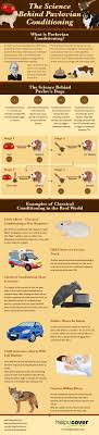 The Science Behind Pavlovian Conditioning Infographic Behavioral Psychology Teaching Psychology Educational Psychology