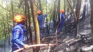 Selangor battles multiple forest fires ...