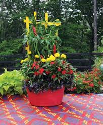 Garden In A Tub How Fun Is That Container Gardening Garden Containers Garden Planters