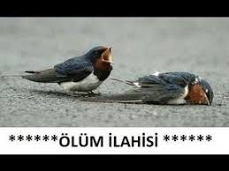 Gonulden Gonule Ilahiler En Guzel Ozenle Secilmis Abdurrahman Onul Ilahileri 2018 Youtube Youtube Animals Instagram