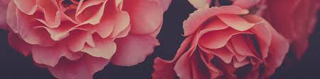 Browse the most recent warner robins, georgia obituaries and condolences. Moore Funeral Home Llc Donalsonville Ga Funeral Home