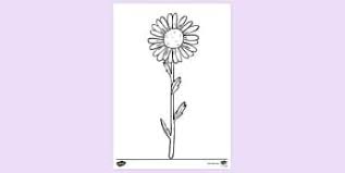 The adult guide has prompts to help leaders guide their troop, and the journey book has stories, activities, and space for girls to add their reflections as they progress along the journey. Daisy Flower Garden Colouring Colouring Sheets