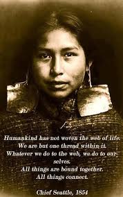 All Things Connect Indiaanse Gezegden Holistische Geneeswijzen Spirituele Citaten