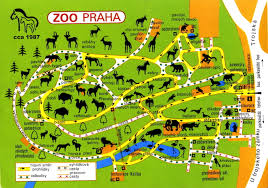 Ostrava zoo is not only a huge area, but it is mainly a place where you can see a huge number of animals, plants and flowers. Zoo Praha Mapa Ke Stazeni Bonus Historicke Mapy