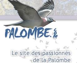Les Recettes Les Salmis Salmis De Palombe Facon Mamie Lili Pays Basque Recette De Plat Recette Confit