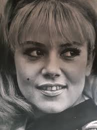 Jacques chancel, guy bedos, sophie daumier radioscopie (artistes): Sophie Daumier Wikipedia