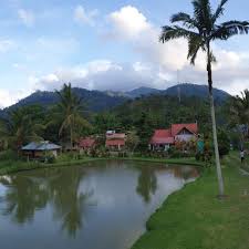 Senarai homestay di janda baik. Inap Desa Chalets Janda Baik Home Facebook