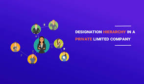 Read About Designation Hierarchy In A Private Limited