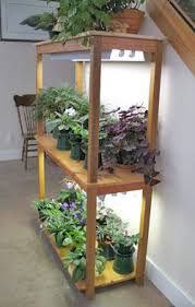 Check spelling or type a new query. Fluorescent Light Garden Plants Light Bulb Plant Fluorescent Light Bulb