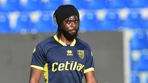 His height is 186 cm and weight is. Fifa 21 E Uscito Gervinho Nella Nuova Versione Futbirthday