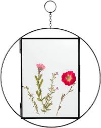 Maybe you would like to learn more about one of these? Buy Rainbows Lilies Pressed Flower Frames Glass Frame For Pressed Flowers Floating Frame Photo Frames 5x7 Hanging Picture Frames Double Glass Frame Display Dried Flowers Photos Artwork Black Online In