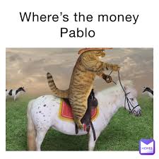 An element of a culture or system of no memes that are text only. Cat Memes Memes