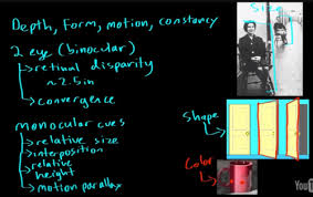 I dont want window's width be modified by the numbers of outdoors i have note2: Mcat Psychology Ch 2 Sensation And Perception Flashcards Quizlet