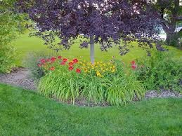 Maybe you would like to learn more about one of these? Top Landscaping Tips For Utah Residents