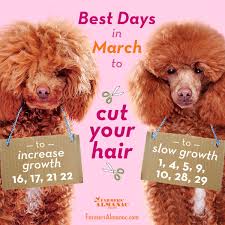 Need a haircut soon? Plan ahead and...