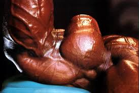 images?q=tbn:ANd9GcSQLcBxAxEzPXUOVx6nfHD