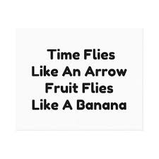 Time Flies Like An Arrow Fruit Flies Like A Banana Meaning Fruit Flies Canvas Print Zazzle Com Fruit Flies Custom Holiday Card Canvas Prints