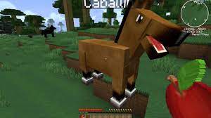 En el mundo de minecraft hay muchos animales con los que interactuar. Como Domesticar Un Caballo En Minecraft 1 5 1 Youtube