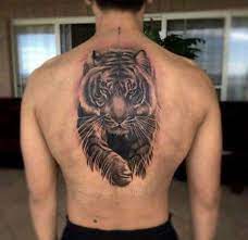 32 Best Ideas Tattoo Lion Back Tigers Tiger Face Tattoo Tiger Tattoo Design Tiger Tattoo