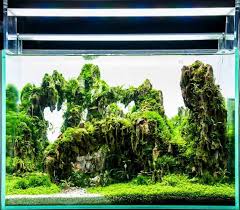 Best Led Aquarium Lighting The Ultimate Guide To Picking The Right One Fishkeeping World