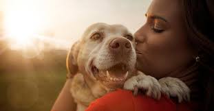 We had already seen a decrease in the intensity of her activities, (she had always been a very active dog, and loved to run), but she had never limped before. Dogs Heart Rate Increases When You Say I Love You