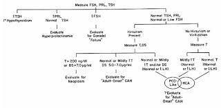 Image result for Progesterone Challenge Test