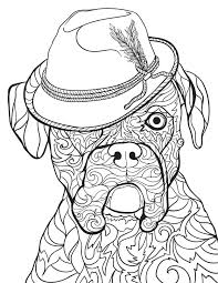 Households own a pet, which equates to 72.9 million homes ! 24 Free Pet Coloring Pages For Dog And Cat Owners Better Homes Gardens