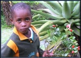 Image result for Inhambanella henriquesii