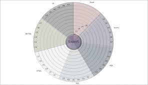 bulls eye chart excel vba products