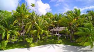 Refuge de Paul-Emile Victor magnifié par François Nars, le Motu Tane est en  vente