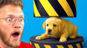 EPIC 65 Pet Opening in Boddle!!! The Quest for Electrobot Continues!!!