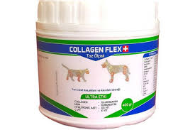 collagen flex toz 400 gr kedi ve kopekler icin kas eklem kikirdak ve kemik destegi gida takviyesi odul vitaminleri fiyatlari akrep com
