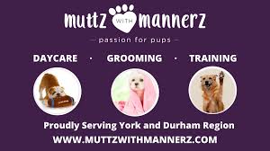 Puppy love cares more about your baby's skin and not stressing them out. Dog Daycare Grooming And Training York And Durham Region Muttz With Mannerz