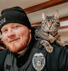 A little life update for our catburglar from February.... Her bond was  posted! After dutifully checking for a chip and not finding one, the  question became, where would she be serving her