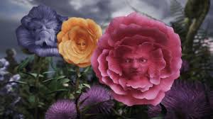 Scroll down to learn about flowers and their meaning in victorian times. Tall Flowers Disney Wiki Fandom Powered By Wikia Alice In Wonderland Flowers Alice In Wonderland Background Alice In Wonderland Aesthetic