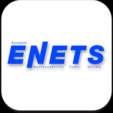Move your contacts, text messages, photos, videos, and music to windows phone. Annual Enets Conference 2022