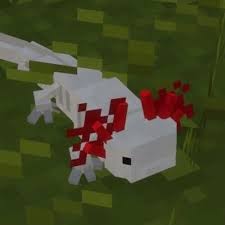 Minecraft is an open world game that has no specific goals for the player to accomplish, allowing players a large amount of freedom in choosing how to play the game however, there is an achievement system. Axolotl Minecraft 1 13 Music Or Minecraft Underwater Music By C418 Listen On Audiomack