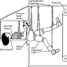 Start studying lower body diagram (a&p practical 2). Schematic Depicting Supine Treadmill Running In A Lower Body Negative Download Scientific Diagram