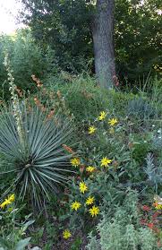 It is used extensively in native american ceremony and is considered one of the most sacred of ceremonial. 2