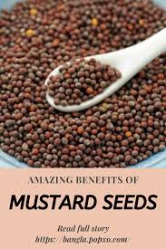 Sarso Oil Benefits In Bengali Oil Benefits Seeds Mustard