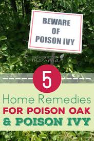5 Home Remedies For Poison Oak Poison Ivy Poison Oak Remedies Poison Ivy Remedies Poison Oak