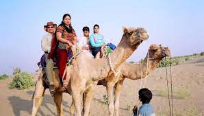 We climbed up a flight of stairs… Heritage Camel Safari Tour