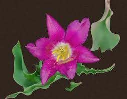 We did not find results for: Ninsar The Sumerian Goddess Of Plants Photograph By Bijan Pirnia