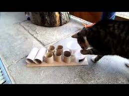 7 Diy Cat Food Puzzle Toys That Will Keep Your Kitty 39 S Brain Active Cattime Diy Cat Food Diy Cat Toys Cat Diy