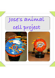 We did not find results for: Animal Cell Project 6th Grade Science Project Animal Cell Project Cells Project 6th Grade Science Projects