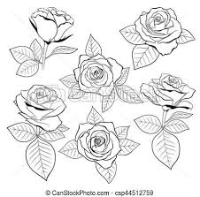 Vector Set Of Detailed Isolated Outline Rose Bud Sketches With Leaves Csp44512759 In 2020 Flower Drawing Rose Outline Roses Drawing