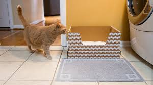 These products were selected independently and. Cat Litter Subscription Box Mental Floss