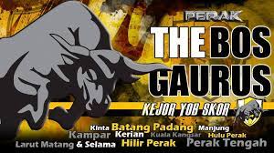 The club has academy called the bos gaurus pafa academy or pafa academy for short located in proton city, tanjung malim.34 the academy. Perak The Bos Gaurus Facebook
