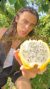 Exploring Hung Vuong Supermarket in South Philly for Exotic Fruits