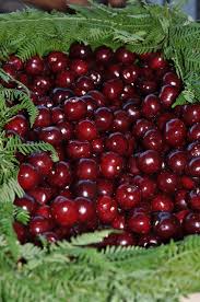 File Cherries Cerezas Valle Del Jerte 01 Jpg Wikimedia Commons